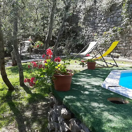Ada Fiesole