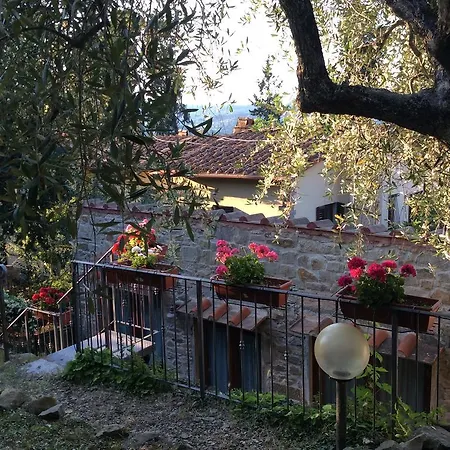 Ada * Fiesole